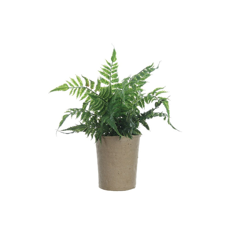 faux fern in paper pot